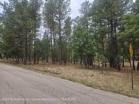 74 Lot Silvertip Trail, Alto, NM 88312
