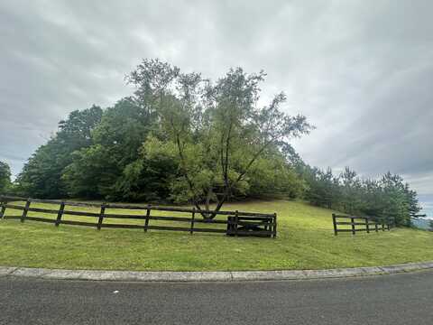 00 Mowery Circle NW, Charleston, TN 37310