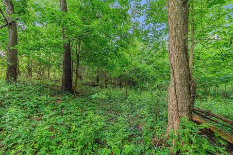 V/L Avenue C, Springfield, MI 49037