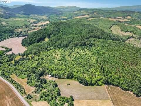 Gooseneck RD, Sheridan, OR 97378