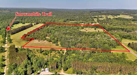 52 Acres Tannerville Road, Kaleva, MI 49645