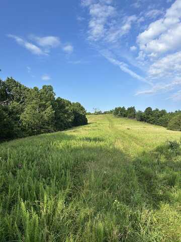 000 Terrace Lane, Cape Fair, MO 65624