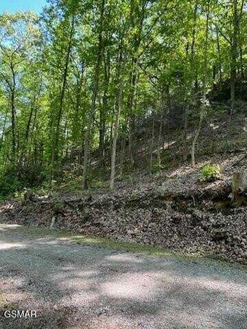 0 Reagan Springs Road, Seymour, TN 37865