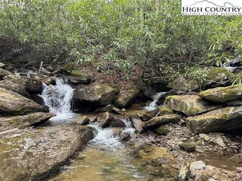 62+/- Acres Buckeye Ridge Road, Beech Mountain, NC 28604