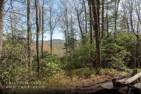 Lot 4 Trillium Ridge Road, Cullowhee, NC 28723