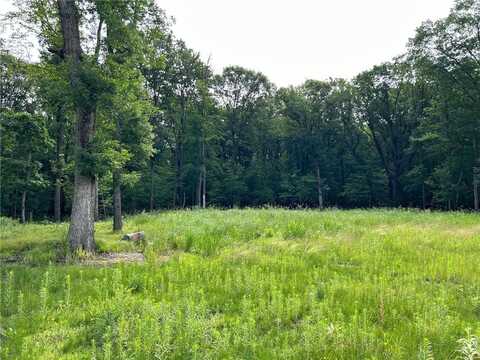 14775 Stutz Street NE, Ham Lake, MN 55304