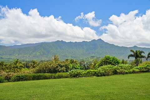 undefined, Kilauea, HI 96754