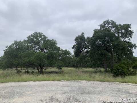 191 Indian Blanket, Spring Branch, TX 78070