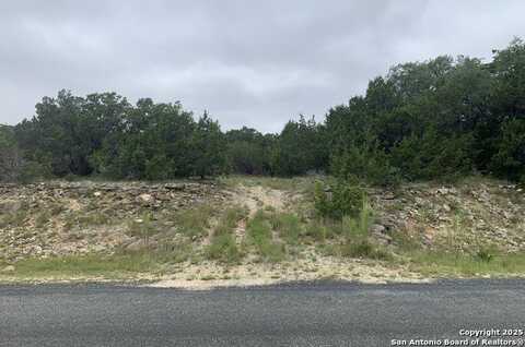 457 Thoroughbred, Spring Branch, TX 78070