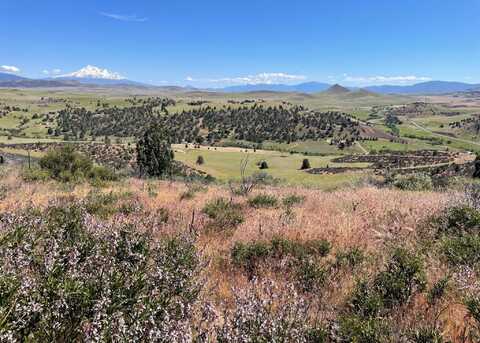 U-3 Lot 86 Whidgeon Pl, Hornbrook, CA 96044