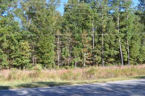 00 Bloomville Road, Manning, SC 29102