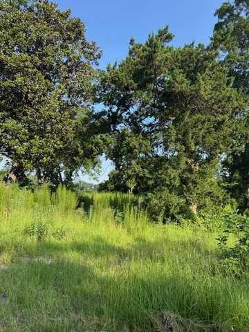 1096 Buchanan Road, Manning, SC 29102
