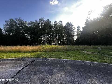 Creekside Drive, Rockwood, TN 37748