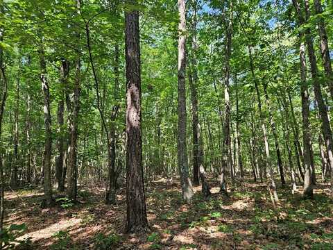 5 Ac Meadow Creek Rd, Wingina, VA 24599