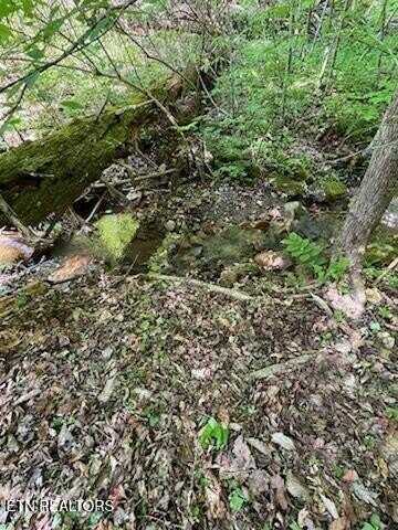 Reagan Springs Rd, Seymour, TN 37865