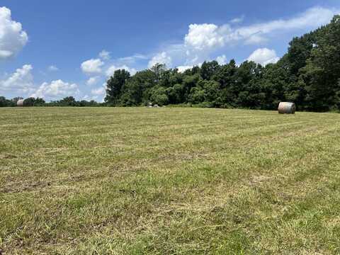 29400 County Road 343, Bell City, MO 63735