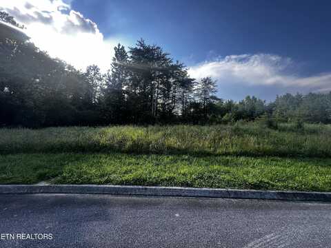 CREEKSIDE DR Drive, Harriman, TN 37748