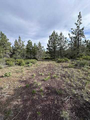 Porpoise Lane, Bonanza, OR 97623
