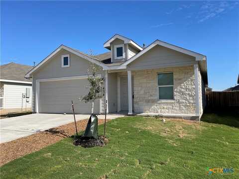 434 Fairy Duster Drive, New Braunfels, TX 78130