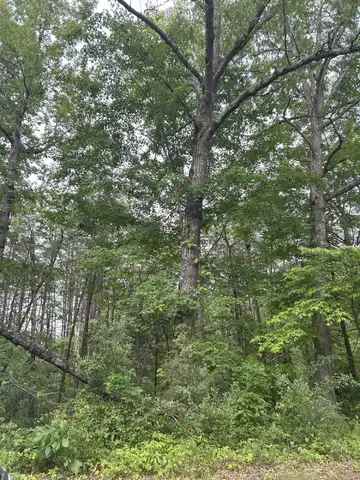 3c Loop Road, Williamsburg, KY 40769