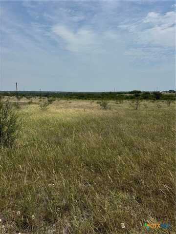 Tbd Tract D County Road 304, Smiley, TX 78159