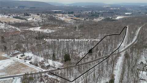 Hillside Drive, Ryan, PA 18214