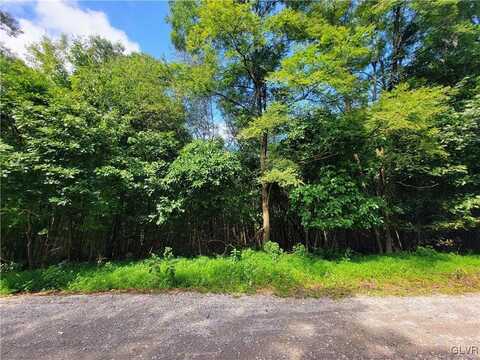 Whitetail Crossing Road, Walker, PA 18252