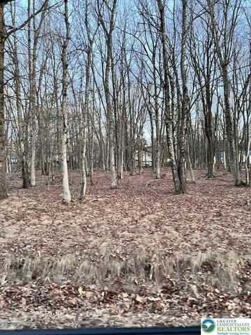 436 Mountain Road unit: 404, Tunkhannock Twp, PA 18210