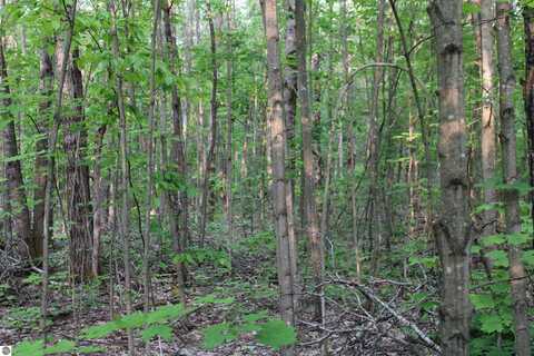 Snowridge Trail, Elmira, MI 49730
