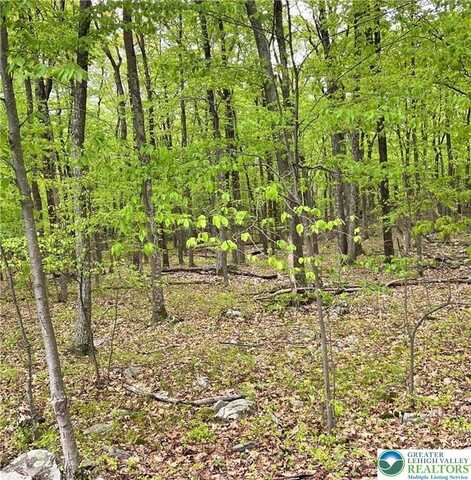 209 Cherry Lane, Tunkhannock Twp, PA 18210