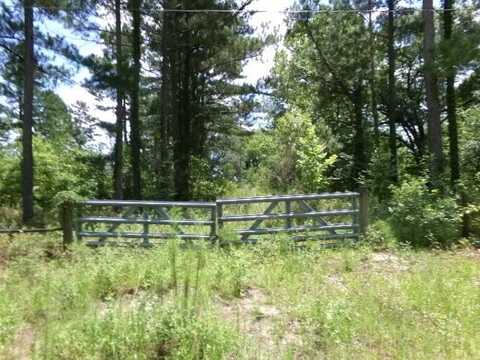 7647 Oscar Circle, Donalsonville, GA 39845