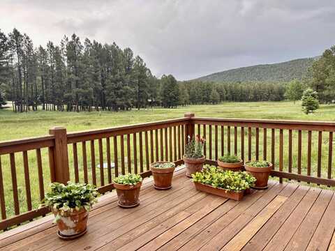 15 Cibola Circle, Angel Fire, NM 87710