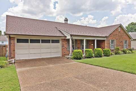 7919 MEMPHIS-ARLINGTON, Bartlett, TN 38133