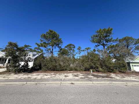 394 ROYAL TERN Way, Carrabelle, FL 32322