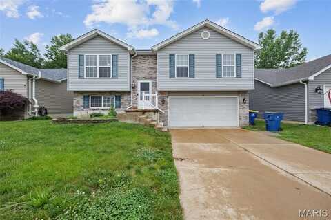 317 Andy Habsieger Street, Festus, MO 63028