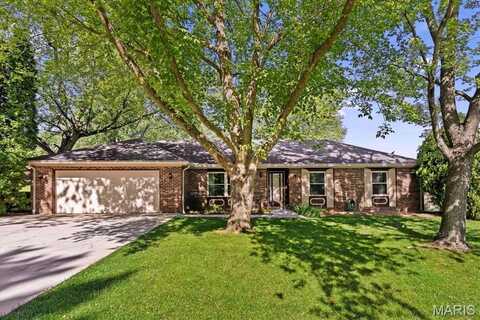 9 EAGLE Drive, Shiloh, IL 62221
