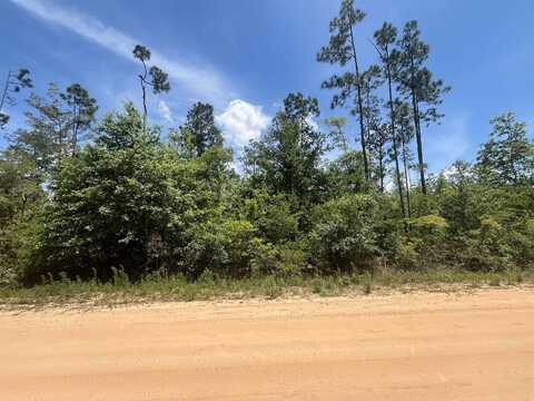 Tamarac Road, Marianna, FL 32448