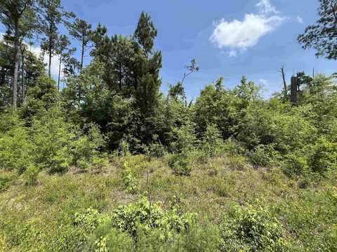Grand Quiviera Circle, Alford, FL 32420