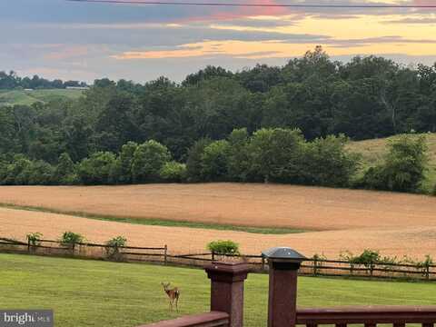 7208 WILSON ROAD, MOUNT AIRY, MD 21771