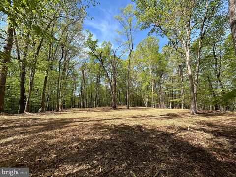 12636 MILL DAM DRIVE, CLIFTON, VA 20124