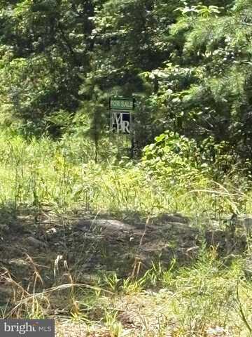 LOT 57 CHRYSANTHEMUM TRAIL, STAR TANNERY, VA 22654