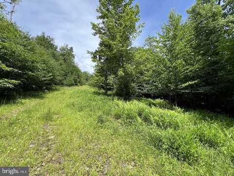 OFF TUSCAN RIDGE RD, DAVIS, WV 26260