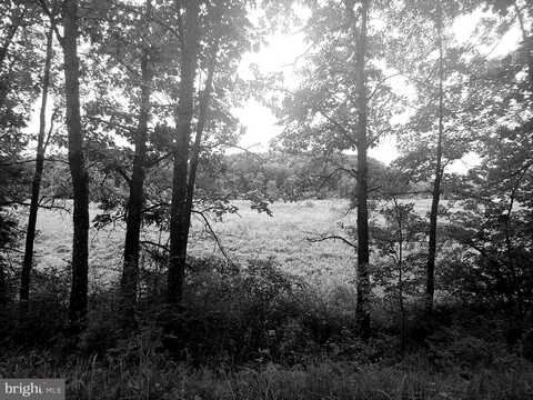 BEAR HILL ROAD, OLDTOWN, MD 21555