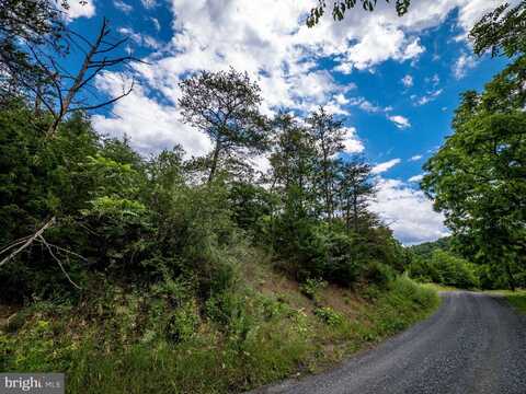 Lot 10 STAR TANNERY ROAD, STAR TANNERY, VA 22654