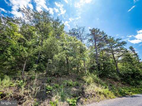 Lot 8 STAR TANNERY ROAD, STAR TANNERY, VA 22654