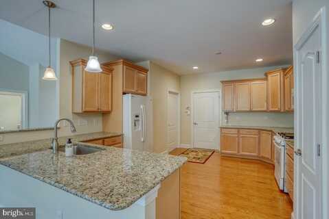 18208 EMERSON WAY, GEORGETOWN, DE 19947