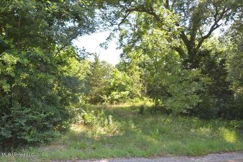 7730 Dunn Lane, Olive Branch, MS 38654