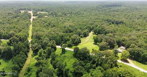 Scallions Road, Cascilla, MS 38920