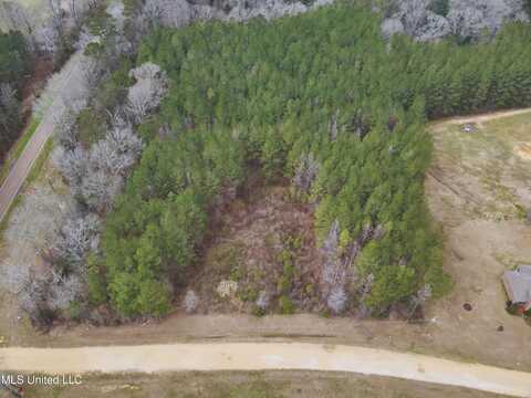 Ava Lane, Summit, MS 39666