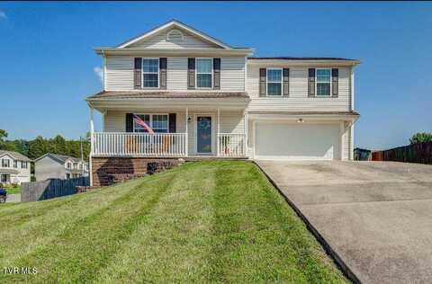 101 May Apple Drive, Bluff City, TN 37618
